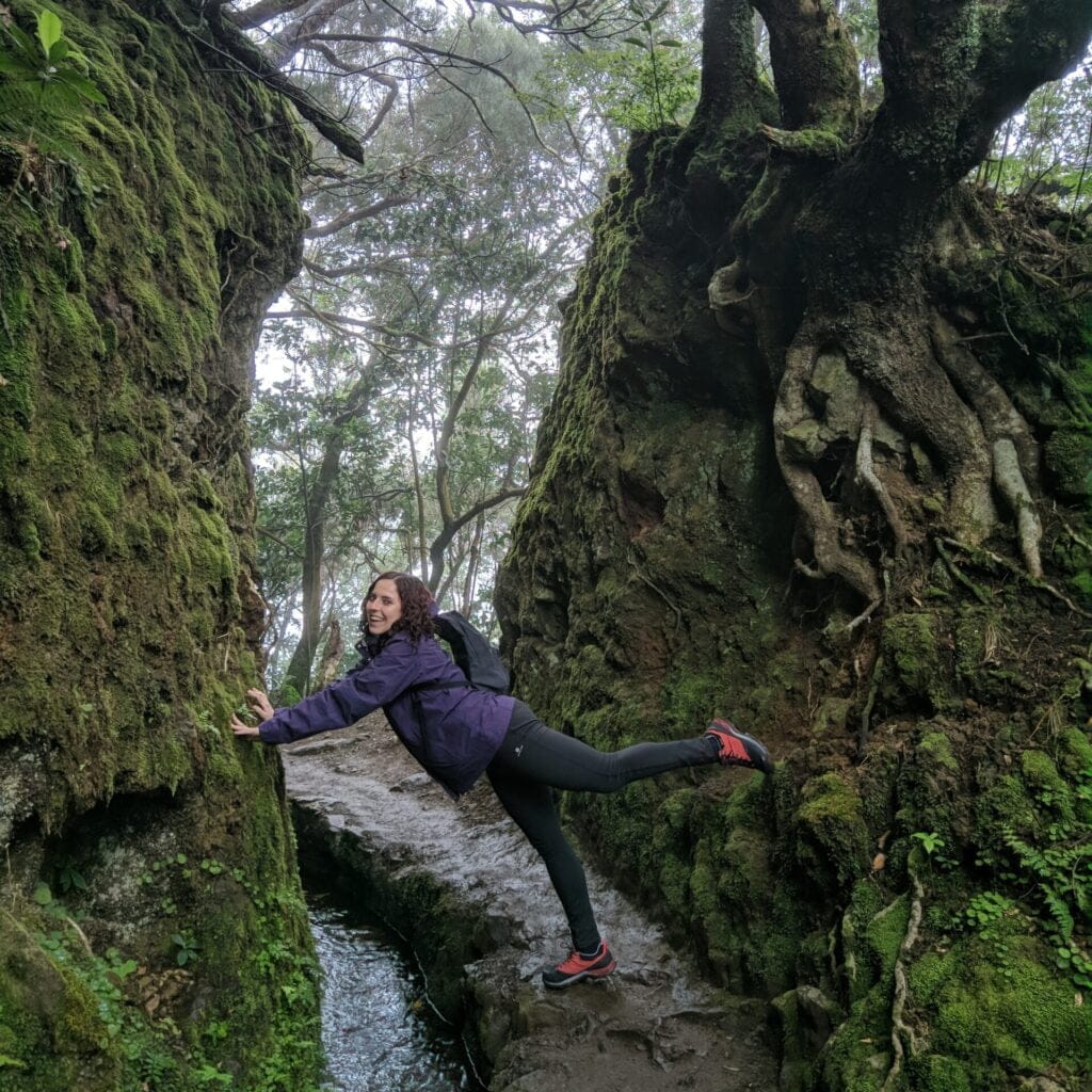 Levada Madeira