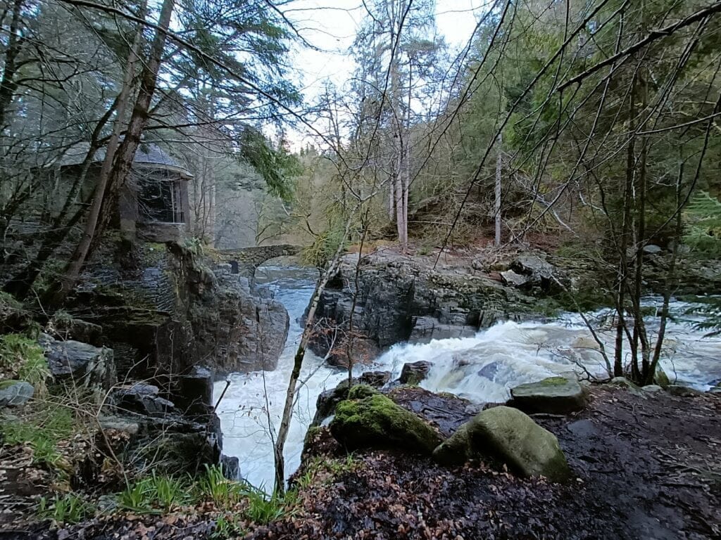 Excursión al bosque Hermitage y Dunkeld
