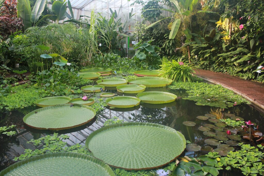 Jardín Botánico Edimburgo