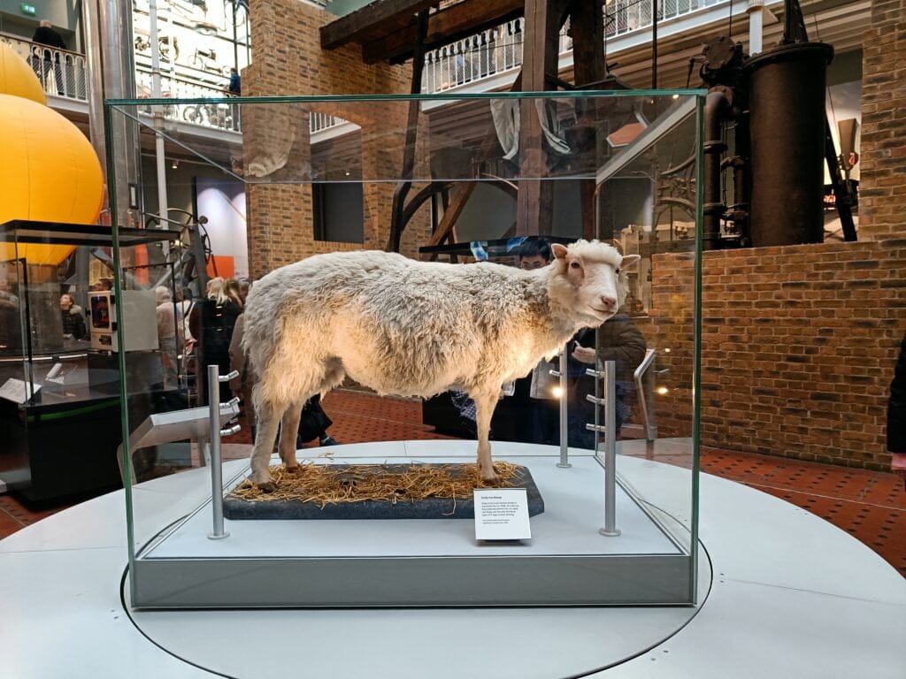 Oveja Dolly Museo Nacional de Escocia