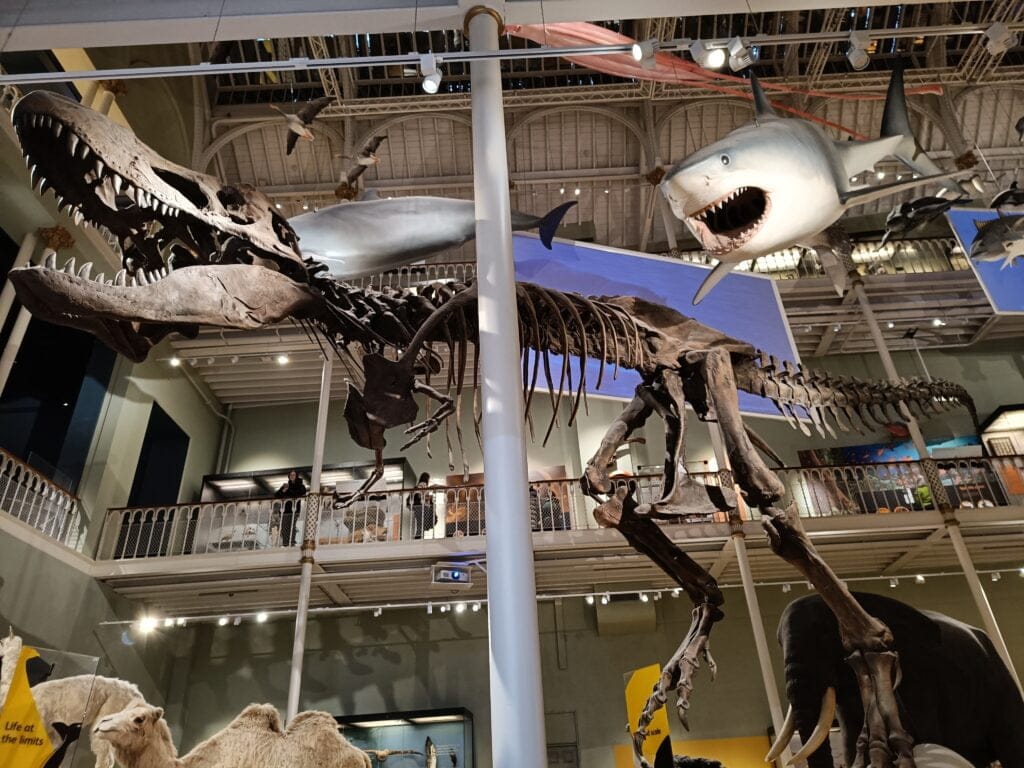 Museo Nacional de Escocia Dinosaurio