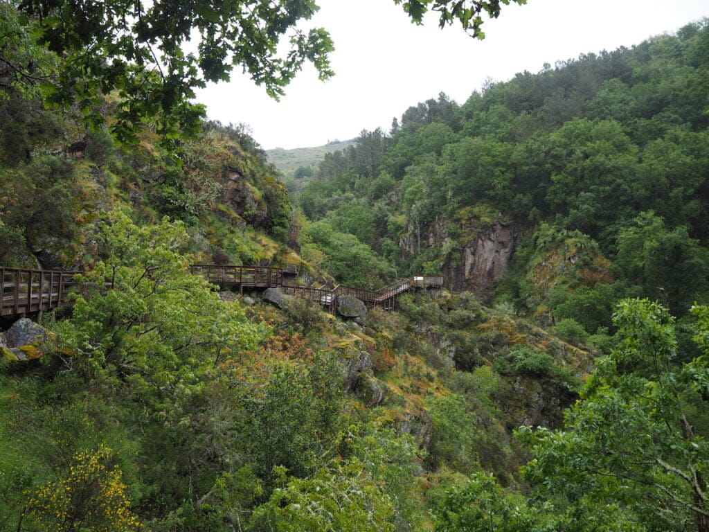 Pasarelas del Río Mao