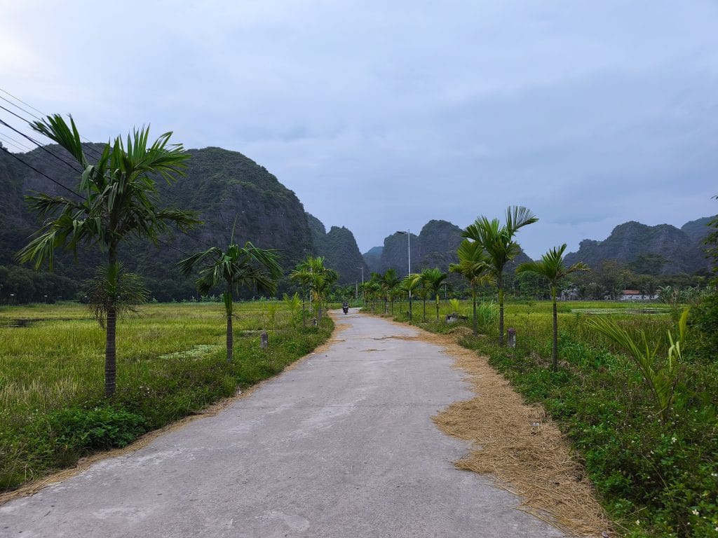 Qué ver y hacer en Ninh Bihn: pasear en bici entre arrozales