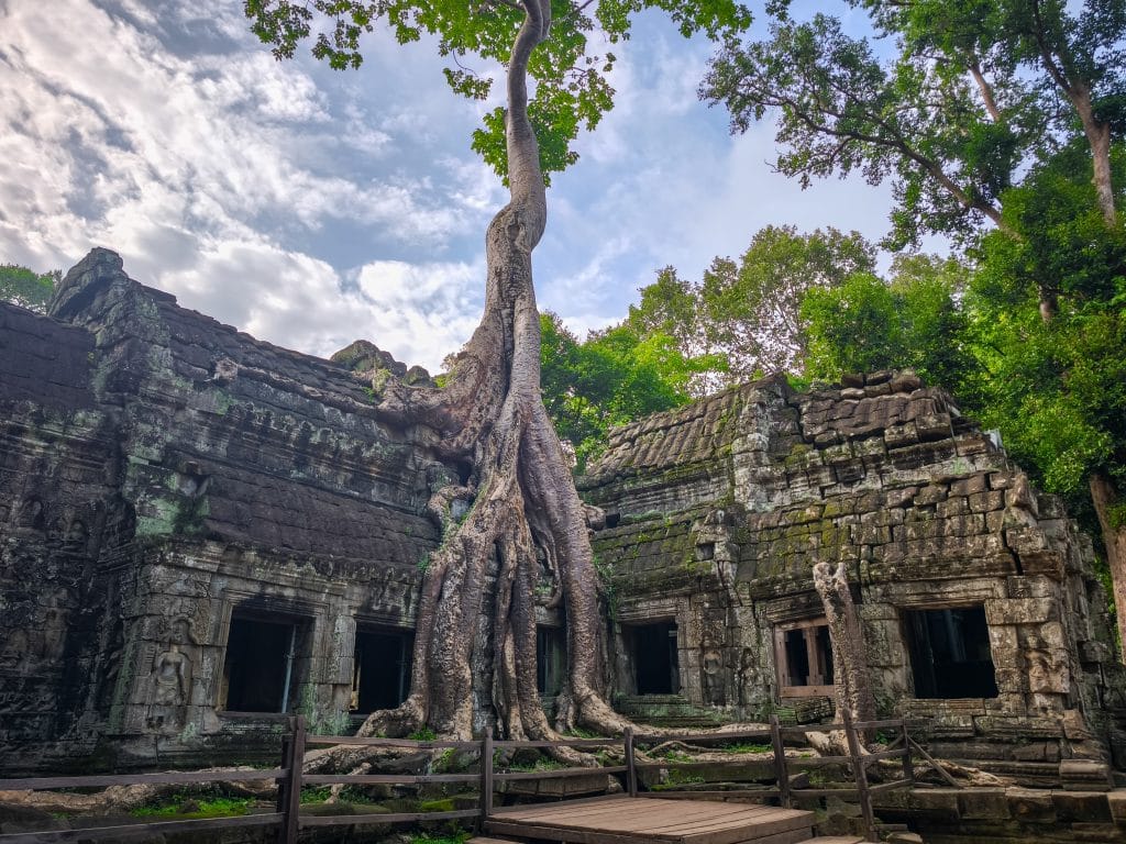 Ta Prohm, Angkor, un templo imprescindible que ver en Camboya